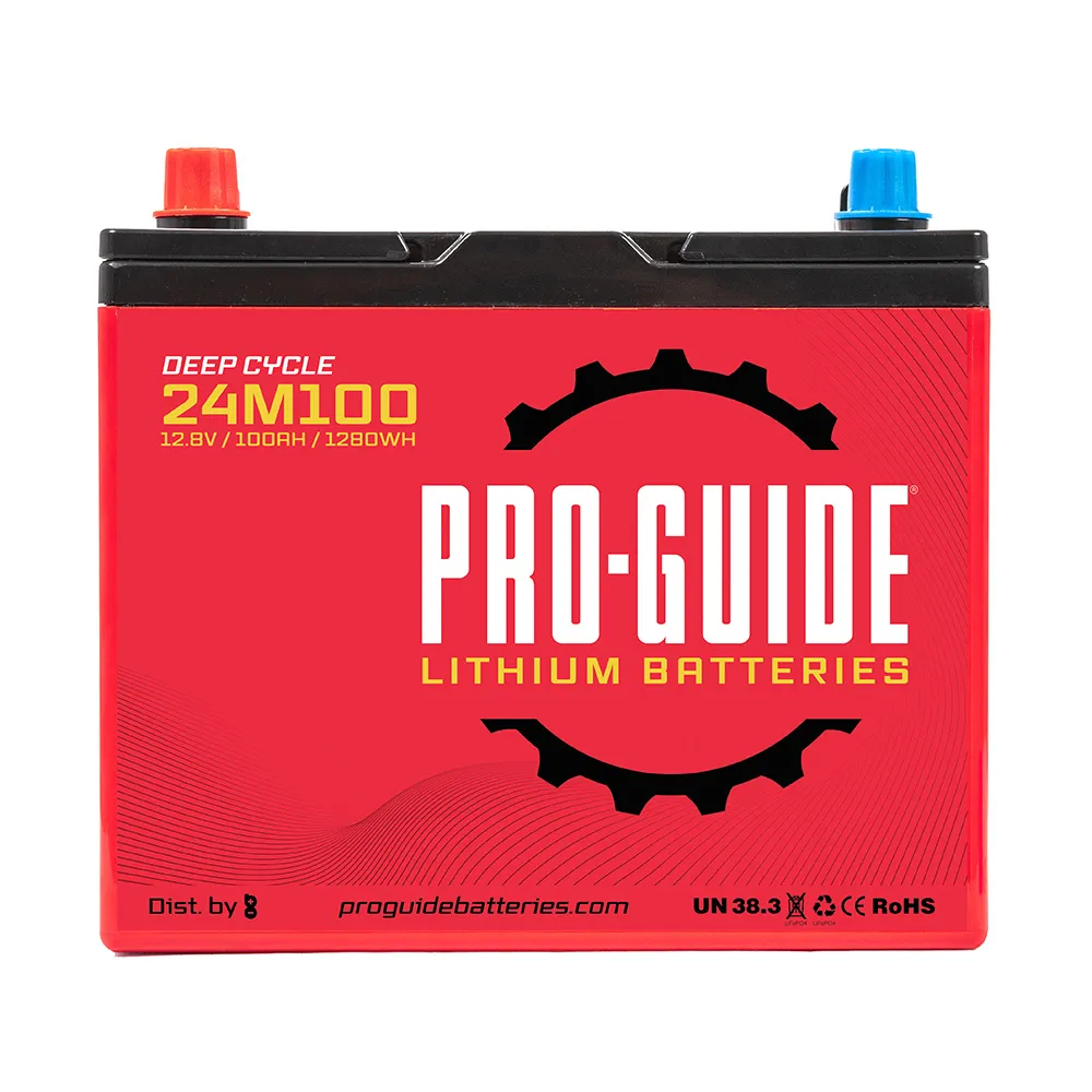 ProGuide Batteries-24M100