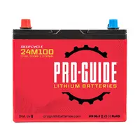 ProGuide Batteries-24M100