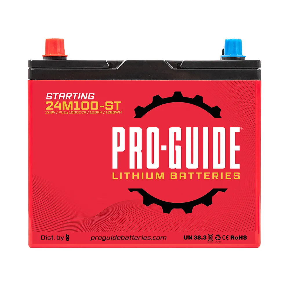 ProGuide Batteries-24M100ST
