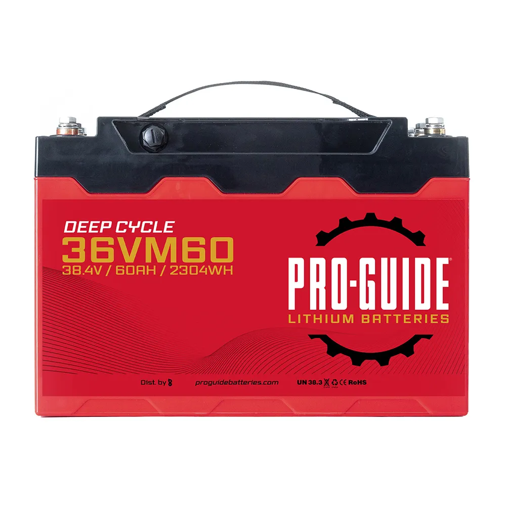 ProGuide Batteries-36VM60
