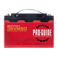 ProGuide Batteries-36VM60