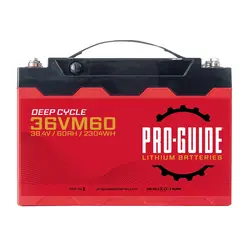 ProGuide Batteries-36VM60