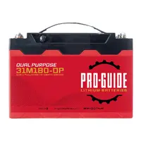 ProGuide Batteries-PGL31M180-DP
