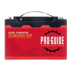 ProGuide Batteries-PGL31M180-DP