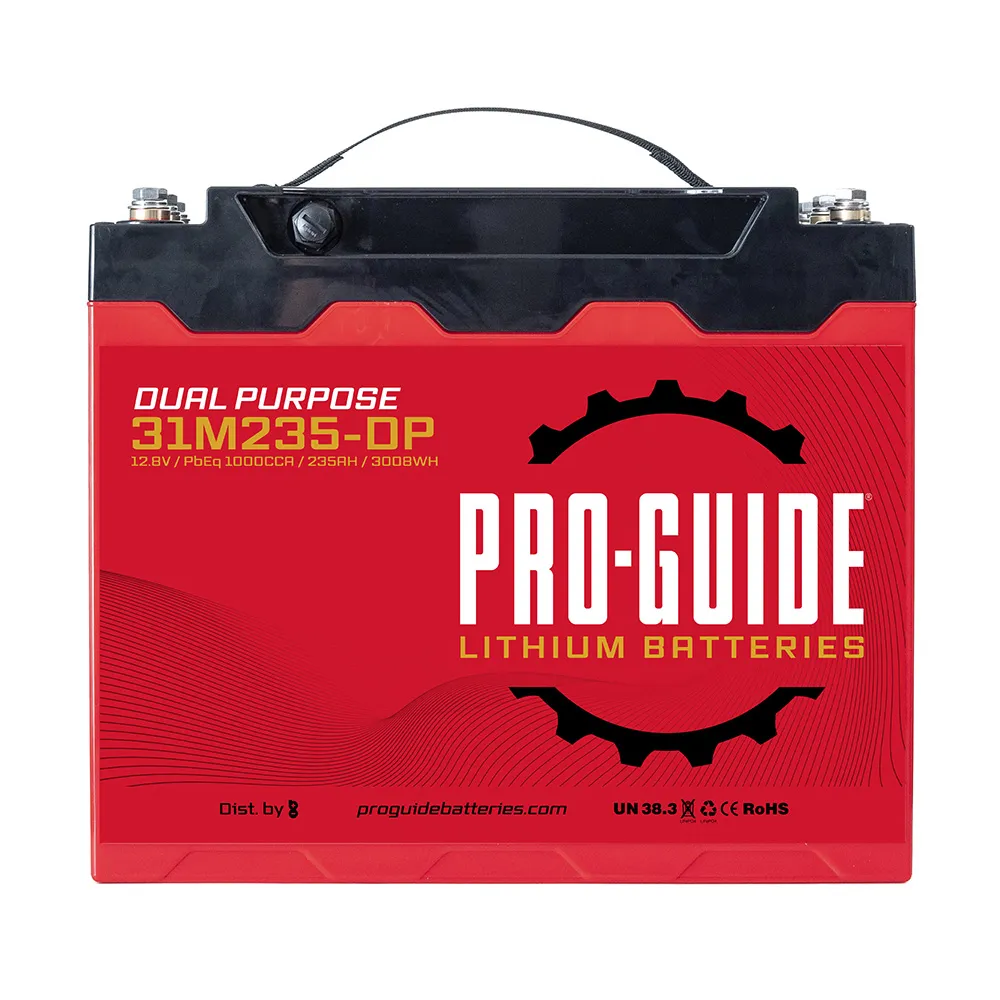 ProGuide Batteries-31M235DP