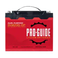 ProGuide Batteries-31M235-DP