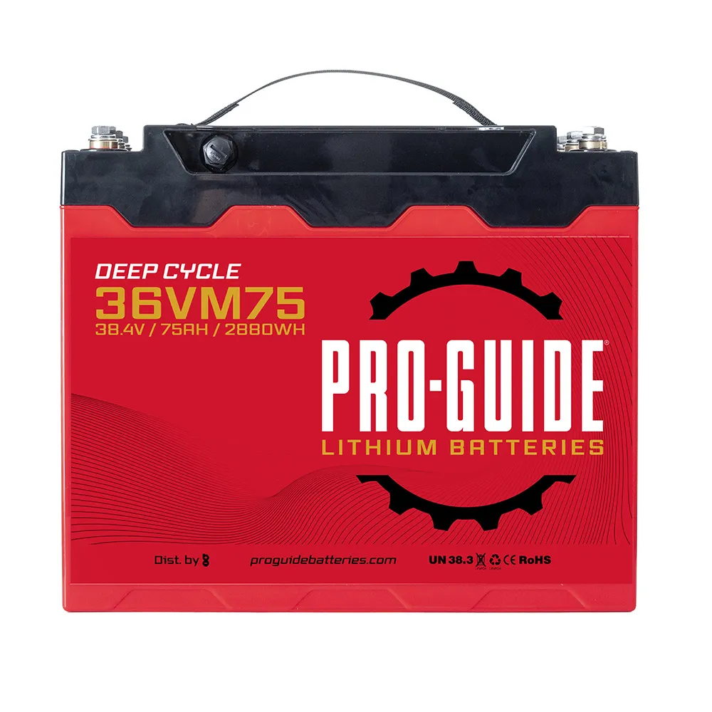 ProGuide Batteries-36VM75