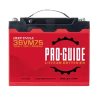 ProGuide Batteries-36VM75