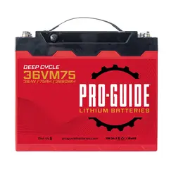 ProGuide Batteries-36VM75