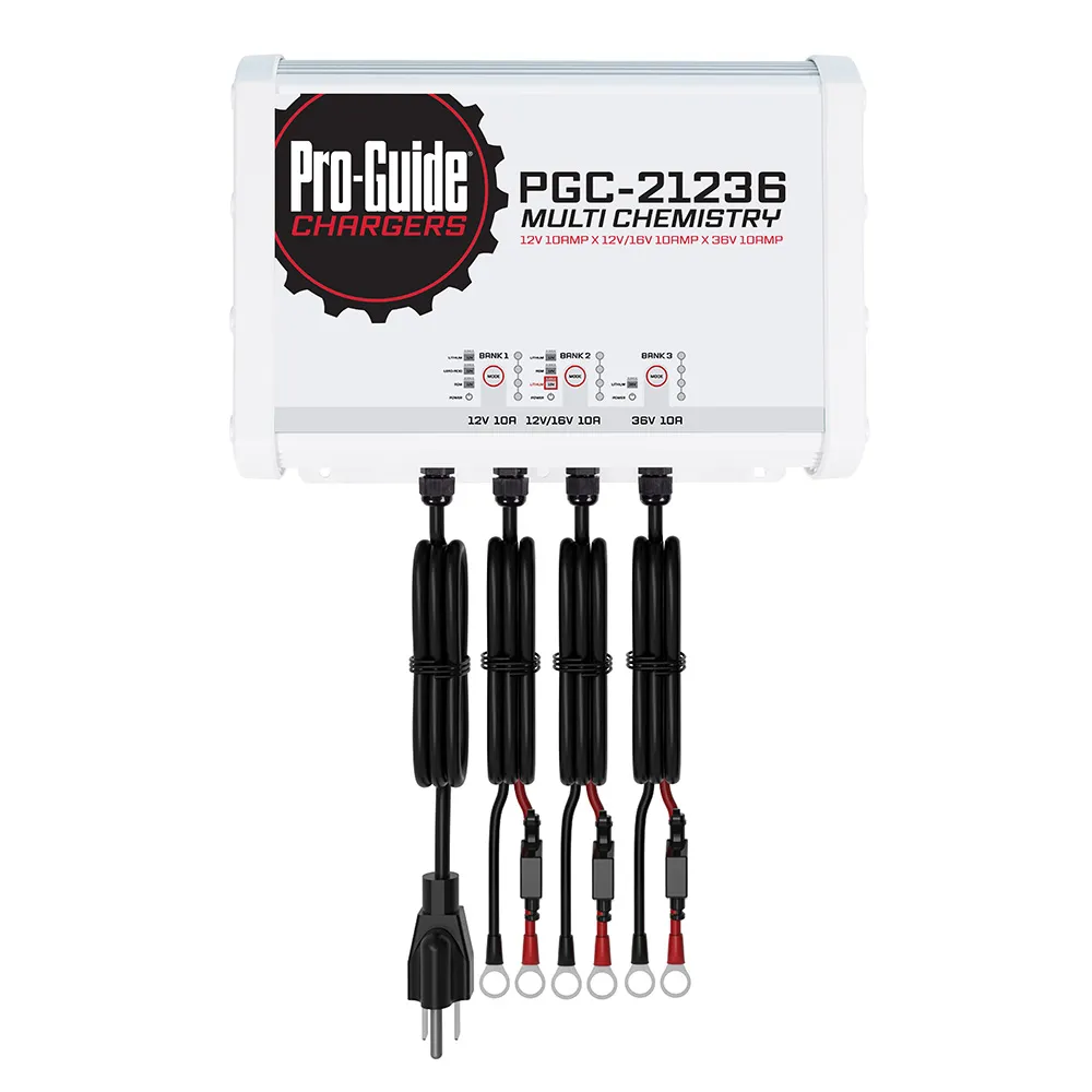 ProGuide Batteries-PGC21236