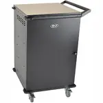 TRIPP LITE CSC36AC