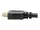 P568-012-BK-GRP