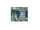 MBD-H13SSL-NT-O