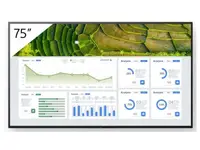 SONY-FW75BZ30L