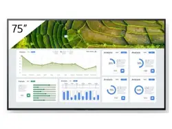 SONY-FW75BZ30L