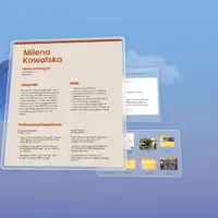MS- OV2.0 ANNUITY OPTION-T9V-00026