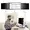 24M61-PRIVACY-SCREEN