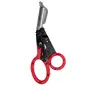 SOG-231250243