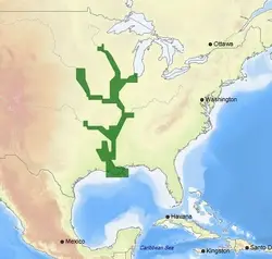 C-MAP-M-NA-D038-MS