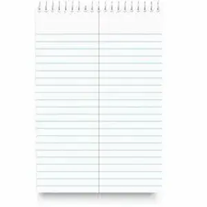 Universal Products UNV 96920 - Universal Steno Pads, Gregg Rule, Red Cover, 80 White 6 x 9 Sheets - 1 Subject(s) - 80 Sheets - Spiral - Red Margin - 16 lb Basis Weight - 6" x 9" Sheet Size - 9" Height x 6" Width - White Paper