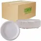 ECO-PRODUCTS,INC.-ECO EPP013NFA