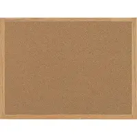 BI-SILQUE VISUAL COMMUNICATION PRODUCTS-BVC MC070014231