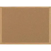 BI-SILQUE VISUAL COMMUNICATION PRODUCTS-SF152001239