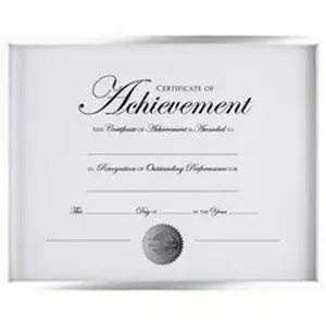 Burnes Home Accents DAX NDMG1114ST - DAX Contemporary Border Document Frame - Holds 11" x 14" Insert - Rectangle - Horizontal, Vertical - Silver - 1 Each