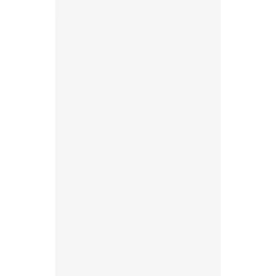 TOPS BUSINESS FORMS-TOP 21731