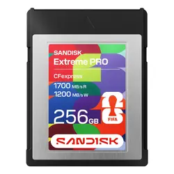 Western Digital-SDCFE-256G-GF4NN