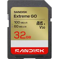 Western Digital-SDSDXGN-032G-GNCIN