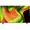 OLED77B5PUA.AUS