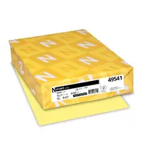 NEENAH PAPER-WAU 49541