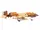 JCW-144-A10-004