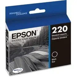 EPSON-EPST220120-S