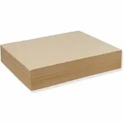 PACON CORPORATION-PAC 4009