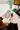 CLIPTALK-B6