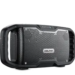 DOLPHIN AUDIO-S100