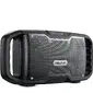 DOLPHIN AUDIO-S100