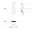 EAP211-BRIDGE KIT