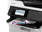 EPSON C11CK23201