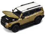 Trends Hobby 241079(A)