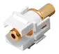 Vanco International-820489