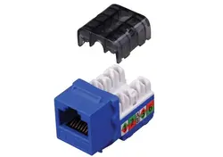 Vanco International-820425