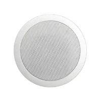 SOUNDTUBE-CM42-EZS-II-WH