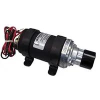SI-TEX-81167
