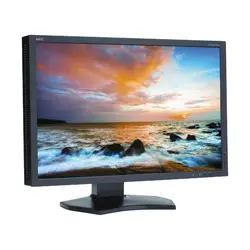 NEC-P242W-BK