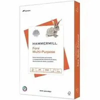 HAMMERMILL HAM 102848