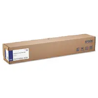 EPSON-S045113