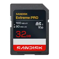 Western Digital-SDSDXXO-032G-GSCIN